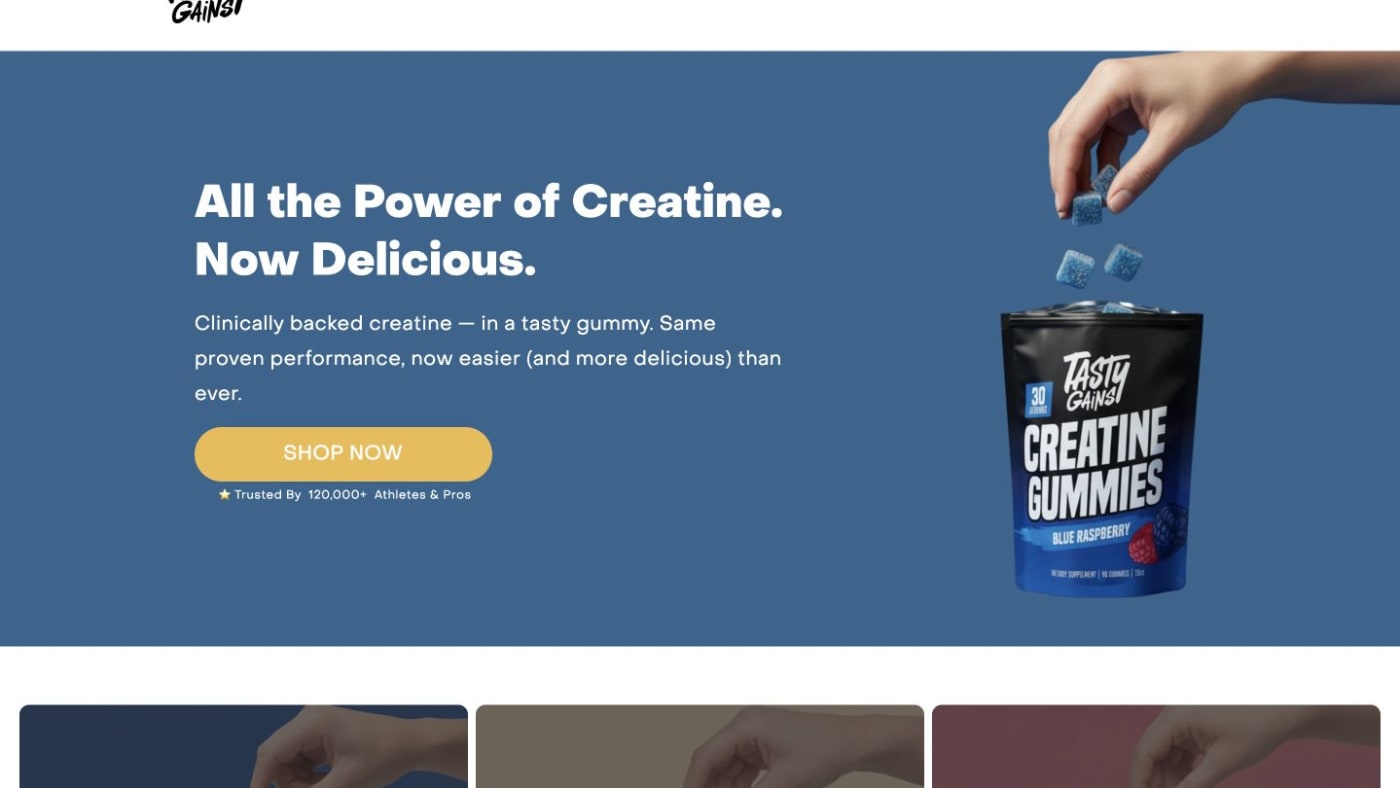 Tasty Gains website